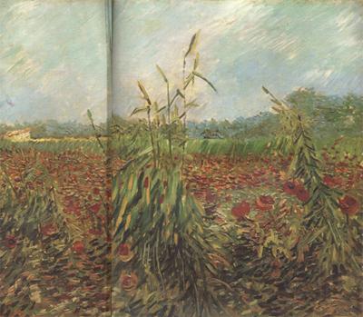 Vincent Van Gogh Green Ears of Wheat (nn04)